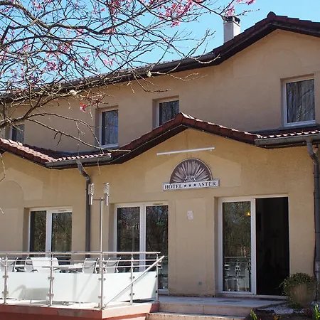 Hotel Et Restaurant Aster, Saint-avold Nord 3*