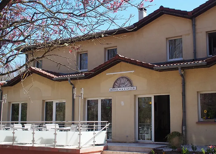 酒店 Et Restaurant Aster, Saint-avold Nord 3*