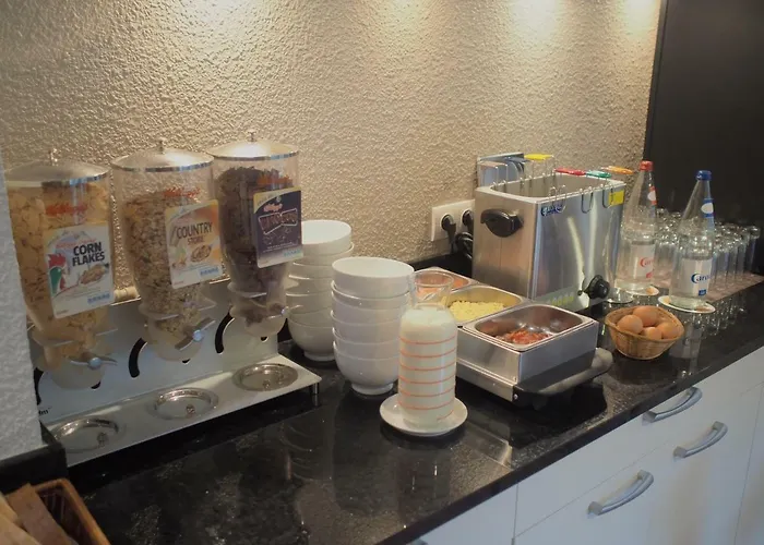 Et Restaurant Aster, Saint-avold Nord Hotel 3*